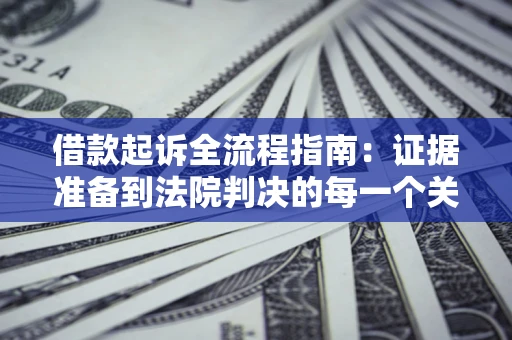 武汉借款起诉全流程指南：证据准备到法院判决的每一个关键步骤
