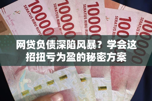 武汉网贷负债深陷风暴？学会这招扭亏为盈的秘密方案